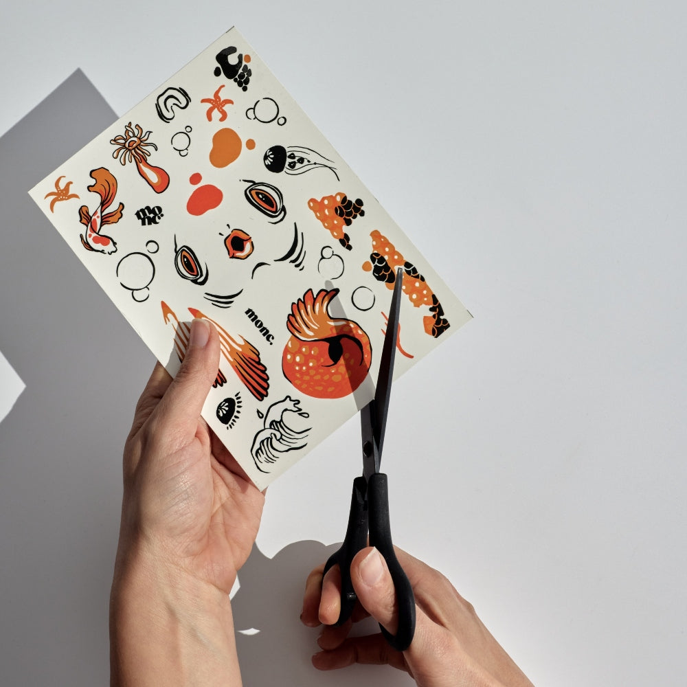 the koi fish set